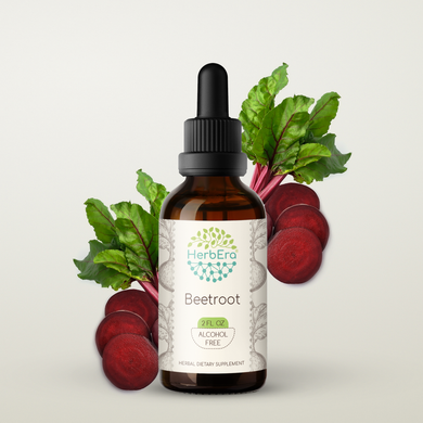 Beetroot Tincture herbera Beetroot Tincture herbera Herbal Extract