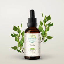 Load image into Gallery viewer, Birch Tincture herbera Birch Tincture herbera Herbal Extract