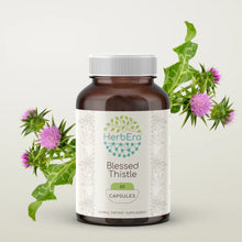 Load image into Gallery viewer, Blessed Thistle Capsules herbera Blessed Thistle Capsules herbera Capsules