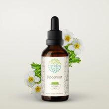 Load image into Gallery viewer, Bloodroot Tincture herbera Bloodroot Tincture herbera Herbal Extract