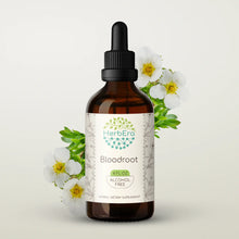 Load image into Gallery viewer, Bloodroot Tincture herbera Bloodroot Tincture herbera Herbal Extract