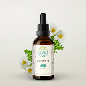 Bloodroot Tincture herbera Bloodroot Tincture herbera Herbal Extract