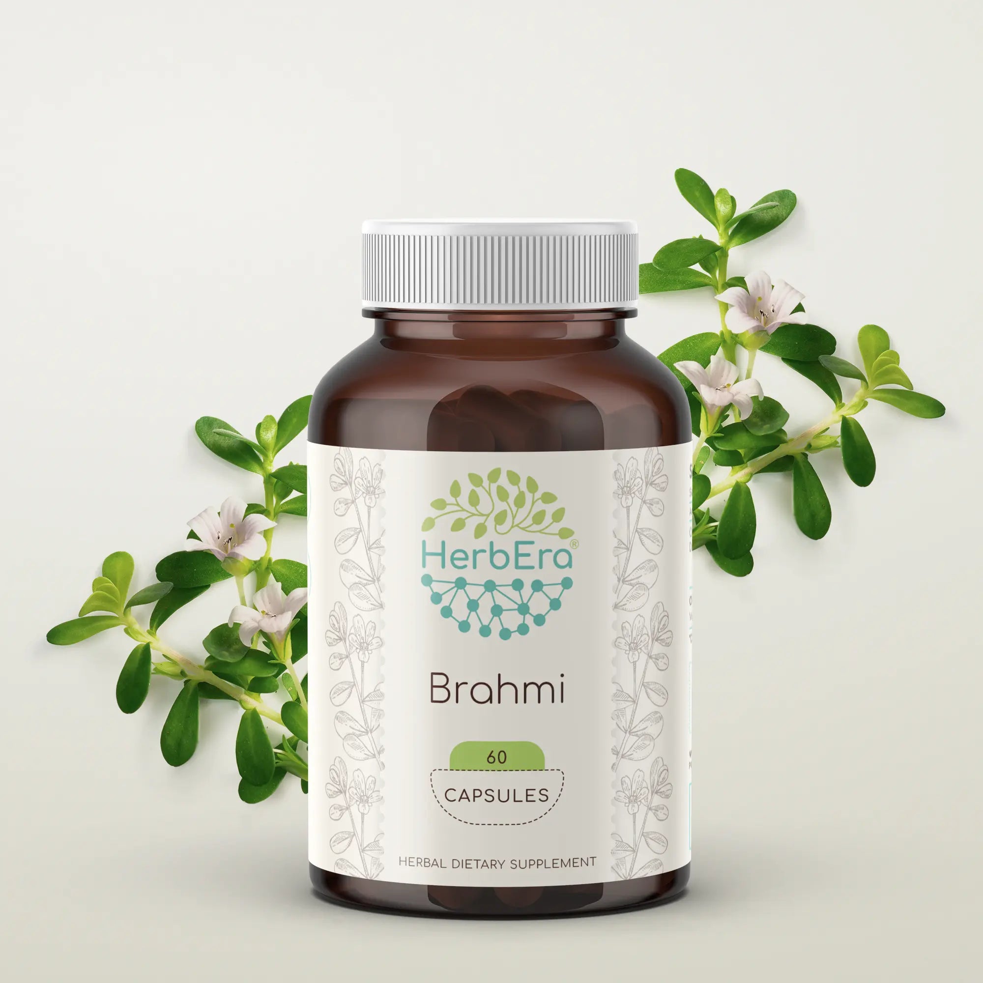 Brahmi Capsules - Supports Mental Clarity & Focus – HerbEra