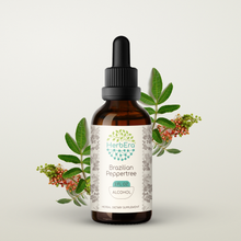 Load image into Gallery viewer, Brazilian Peppertree Tincture