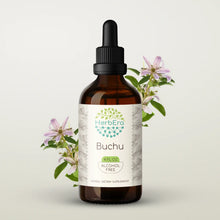 Load image into Gallery viewer, Buchu Tincture herbera Buchu Tincture herbera Herbal Extract