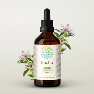 Buchu Tincture herbera Buchu Tincture herbera Herbal Extract