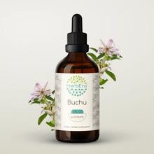 Load image into Gallery viewer, Buchu Tincture herbera Buchu Tincture herbera Herbal Extract