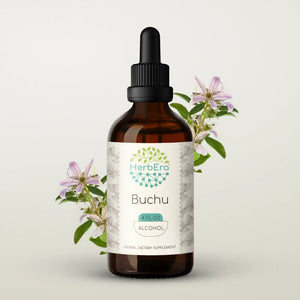 Buchu Tincture herbera Buchu Tincture herbera Herbal Extract