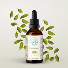 Load image into Gallery viewer, Cardamom Tincture herbera Cardamom Tincture herbera Herbal Extract