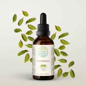 Cardamom Tincture herbera Cardamom Tincture herbera Herbal Extract