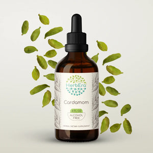 Cardamom Tincture herbera Cardamom Tincture herbera Herbal Extract