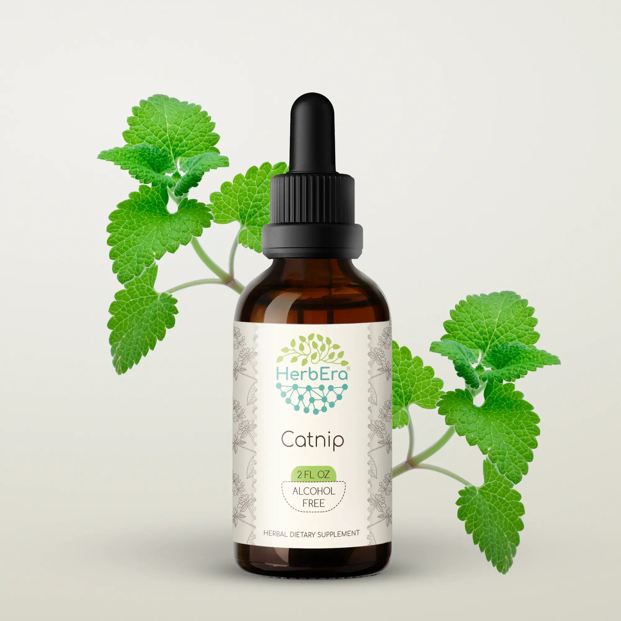 Catnip Tincture
