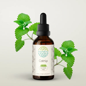 Catnip Tincture herbera Catnip Tincture herbera Herbal Extract