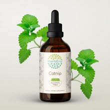 Load image into Gallery viewer, Catnip Tincture herbera Catnip Tincture herbera Herbal Extract