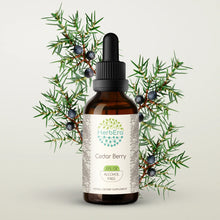 Load image into Gallery viewer, Cedar Berry Tincture herbera Cedar Berry Tincture herbera Herbal Extract