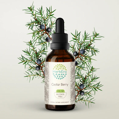 Cedar Berry Tincture herbera Cedar Berry Tincture herbera Herbal Extract