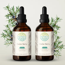 Load image into Gallery viewer, Cedar Berry Tincture herbera Cedar Berry Tincture herbera Herbal Extract