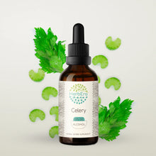 Load image into Gallery viewer, Celery Tincture herbera Celery Tincture herbera Herbal Extract