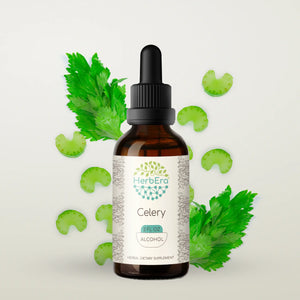 Celery Tincture herbera Celery Tincture herbera Herbal Extract