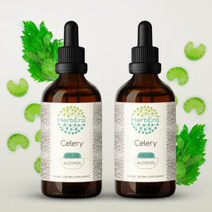 Celery Tincture herbera Celery Tincture herbera Herbal Extract