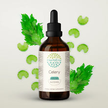 Load image into Gallery viewer, Celery Tincture herbera Celery Tincture herbera Herbal Extract