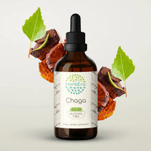 Load image into Gallery viewer, Buy Chaga Tincture online - Herbera