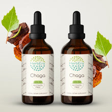 Load image into Gallery viewer, Chaga Tincture herbera Chaga Tincture herbera Herbal Extract