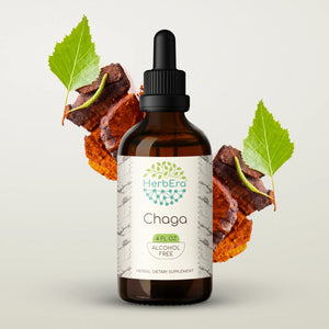 Chaga Tincture herbera Chaga Tincture herbera Herbal Extract