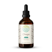 Load image into Gallery viewer, Chaga Tincture