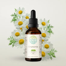 Load image into Gallery viewer, Chamomile Tincture herbera Chamomile Tincture herbera Herbal Extract