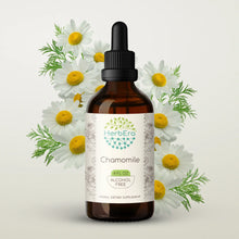 Load image into Gallery viewer, Chamomile Tincture herbera Chamomile Tincture herbera Herbal Extract