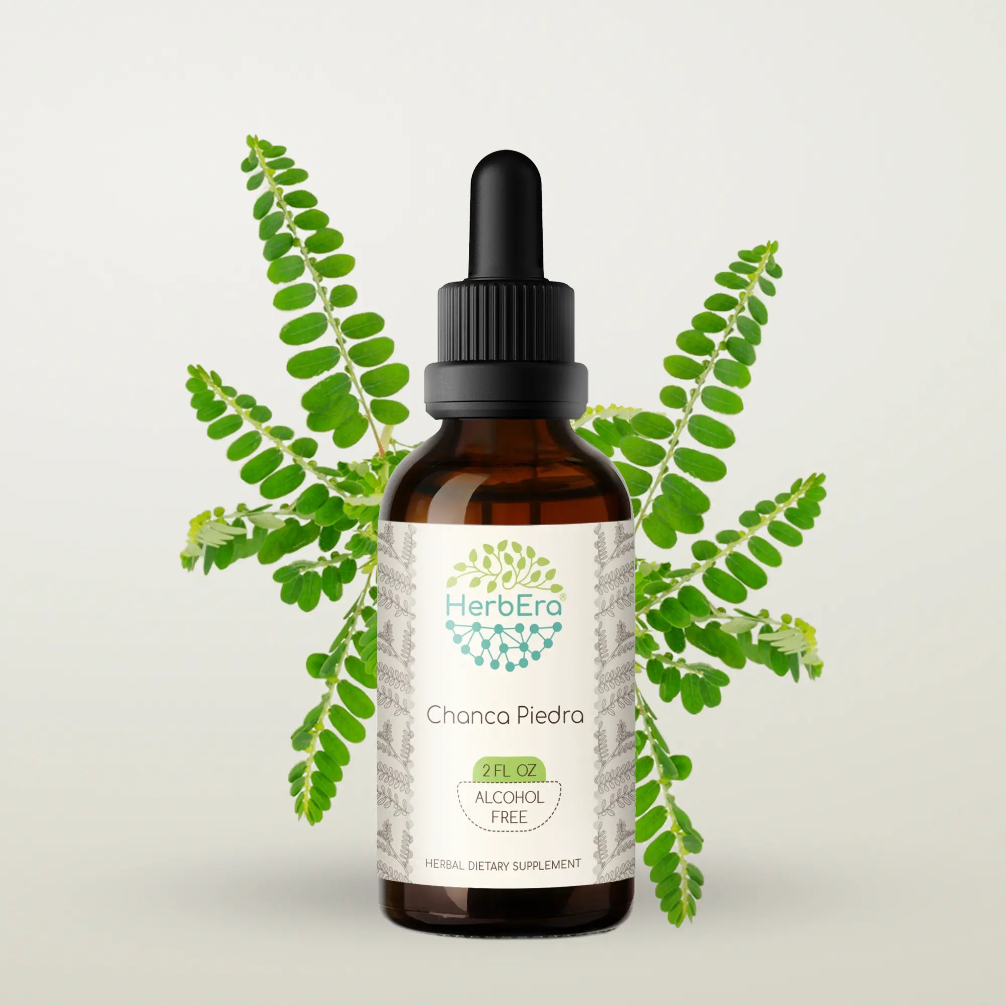 Chanca Piedra Tincture