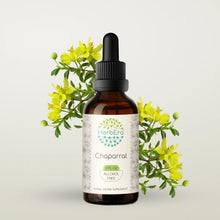 Load image into Gallery viewer, Chaparral Tincture herbera Chaparral Tincture herbera Herbal Extract