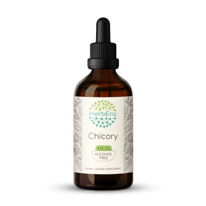 Chicory Tincture herbera Chicory Tincture herbera Herbal Extract