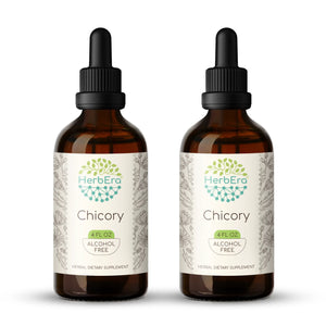 Chicory Tincture herbera Chicory Tincture herbera Herbal Extract