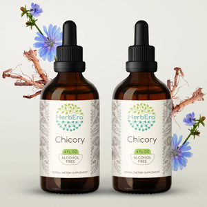 Chicory Tincture herbera Chicory Tincture herbera Herbal Extract