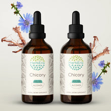 Load image into Gallery viewer, Chicory Tincture herbera Chicory Tincture herbera Herbal Extract
