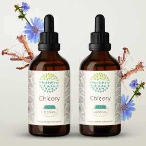 Chicory Tincture herbera Chicory Tincture herbera Herbal Extract