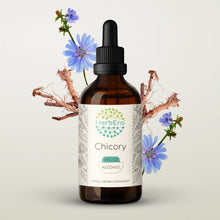 Load image into Gallery viewer, Chicory Tincture herbera Chicory Tincture herbera Herbal Extract