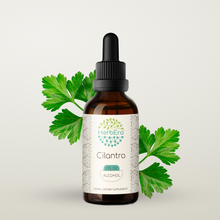 Load image into Gallery viewer, Cilantro Tincture