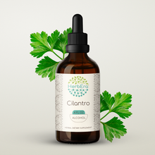 Load image into Gallery viewer, Cilantro Tincture