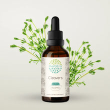 Load image into Gallery viewer, Cleavers Tincture herbera Cleavers Tincture herbera Herbal Extract