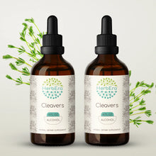 Load image into Gallery viewer, Cleavers Tincture herbera Cleavers Tincture herbera Herbal Extract