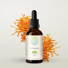 Load image into Gallery viewer, Cordyceps Tincture herbera Cordyceps Tincture herbera Herbal Extract