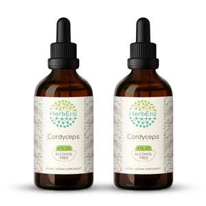 Cordyceps Tincture herbera Cordyceps Tincture herbera Herbal Extract