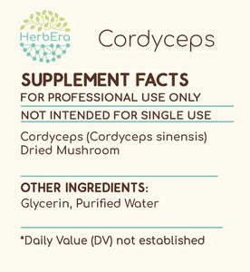 Cordyceps Tincture herbera Cordyceps Tincture herbera Herbal Extract
