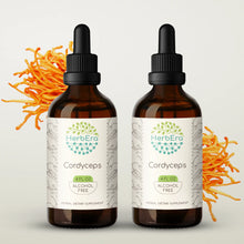 Load image into Gallery viewer, Cordyceps Tincture herbera Cordyceps Tincture herbera Herbal Extract