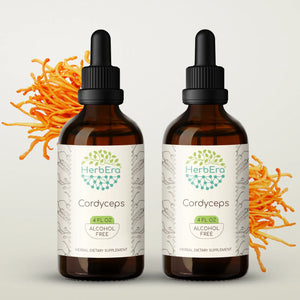 Cordyceps Tincture herbera Cordyceps Tincture herbera Herbal Extract