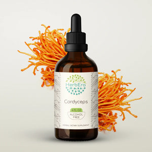 Cordyceps Tincture herbera Cordyceps Tincture herbera Herbal Extract