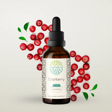 Load image into Gallery viewer, Cranberry Tincture herbera Cranberry Tincture herbera Herbal Extract